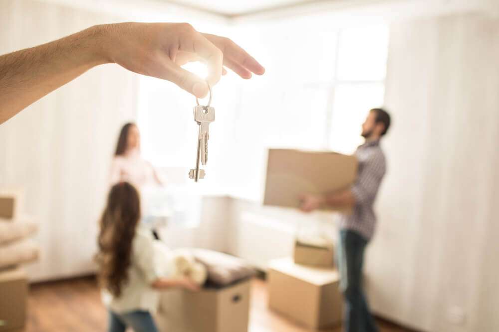 Expertos en Gestión, Mantenimiento, Limpieza y Formación relacionada con el sector Inmobiliario